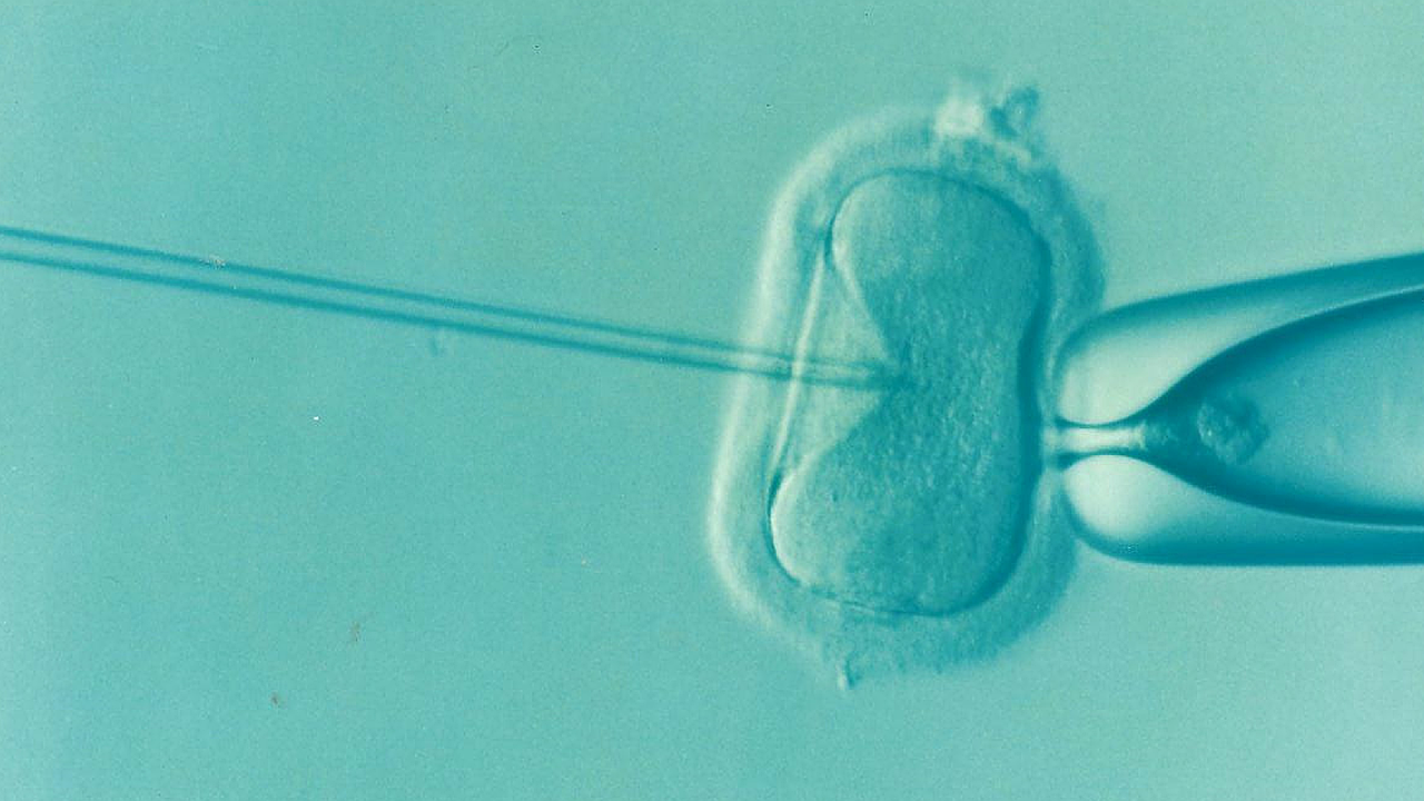 İnfertilite ve İnvaziv Olmayan Tedavi Yöntemleri: IUI ve Hormonal Tedaviler